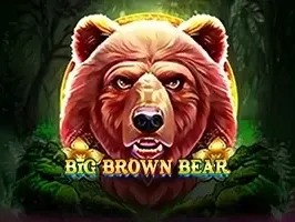 Big Brown Bear